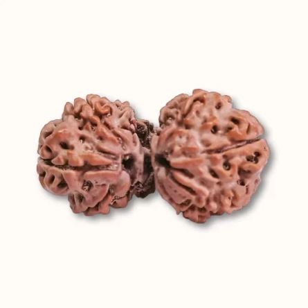 Rudraksha Mukhi Beads